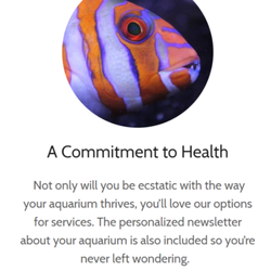 Red Rock Aquatics