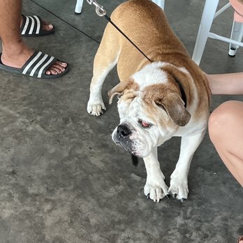 Mālama Cafe - Dogs friendly - Juice Bars & Smoothies Near Me - Carolina Beach, North Carolina