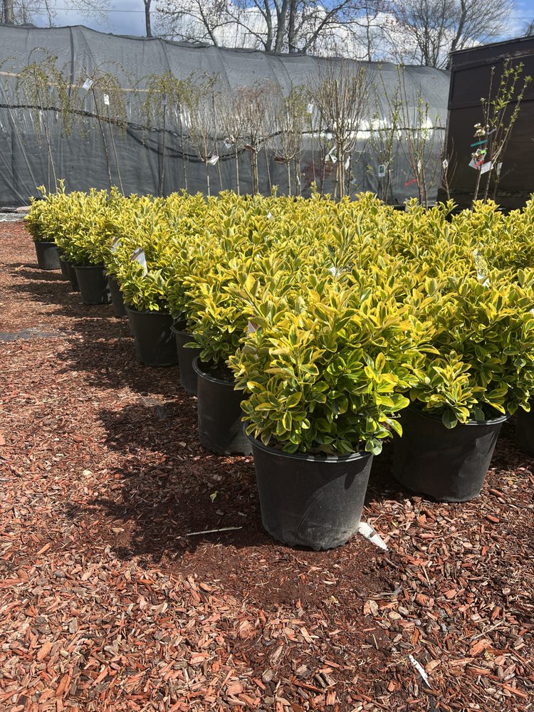 SWANSEA NURSERY & LANDSCAPING SUPPLIES Updated September 2024 23