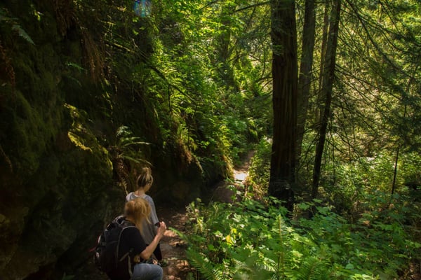 Matt Davis Trail Head by null
