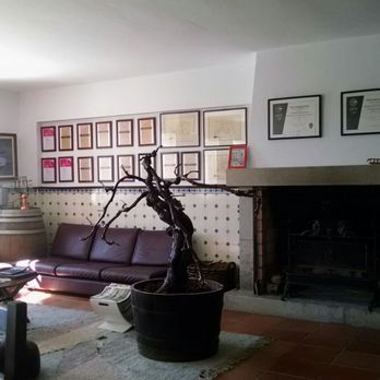 Quinta das Marias - Tasting room - Wineries Near Me - Carregal do Sal, 18