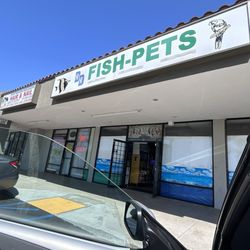 DD Fish-Pets - GO HERE FOR YOUR FISH AND MORE!!