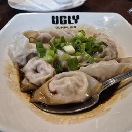Chicken Dumplings Chicken Dumplings