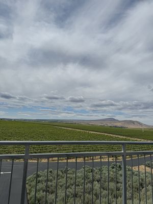 Kiona Vineyards and Winery by null