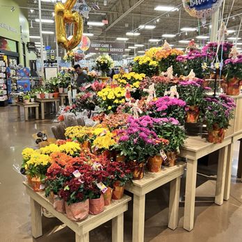 King Soopers - Potted flowers - Grocery Near Me - Castle Rock, Colorado