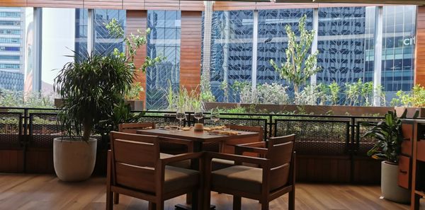 Osteria Mozza by null