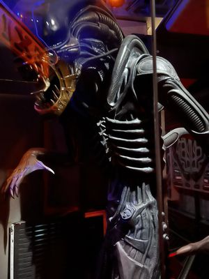 Museum of the Weird by null