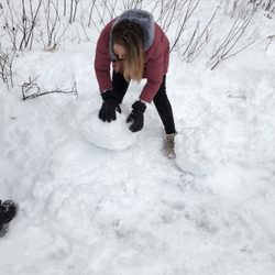 Little Bear Guest Cabins - Winter wonderland