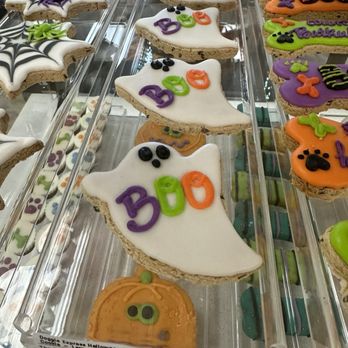 Tomlinson's - Spooky - Pet Stores Near Me - Austin, Texas Tomlinson's - Spooky - Pet Stores Near Me - Austin, Texas