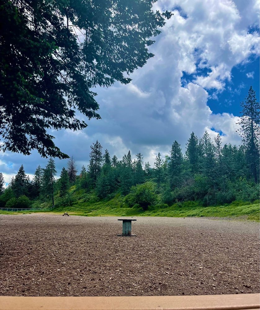 SPOKANIMAL DOG PARK AT HIGH BRIDGE Updated October 2024 41 Photos & 18 Reviews 330 S A St