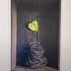Adah Rose Gallery - Art at Adah Rose