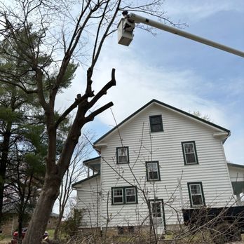 LC Tree Service - Tree Services Near Me - Hagerstown, Maryland LC Tree Service - Tree Services Near Me - Hagerstown, Maryland