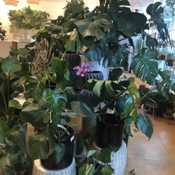 7 Dees - Nurseries & Gardening Near Me - Portland, Oregon