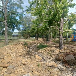 Pearl City Park