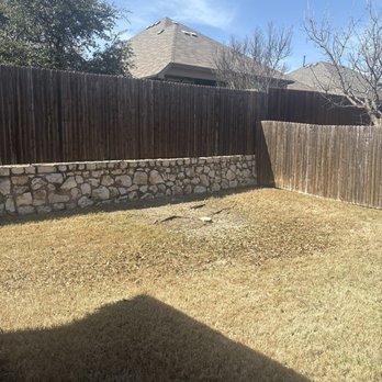 Mondragons Tree Service - Live oak after - Tree Services Near Me Mondragons Tree Service - Live oak after - Tree Services Near Me