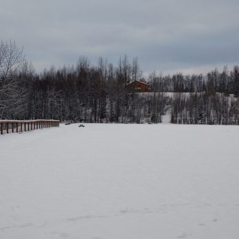 University Lake Dog Park - Fresh snow! - Dog Parks Near Me - Anchorage, Alaska University Lake Dog Park - Fresh snow! - Dog Parks Near Me - Anchorage, Alaska