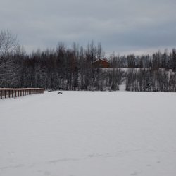 University Lake Dog Park - Fresh snow!