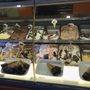 Photo of Gelato É Via