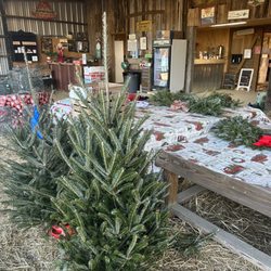 Hickory Creek Farm
