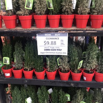 The Home Depot - Nurseries & Gardening Near Me - Fremont, California The Home Depot - Nurseries & Gardening Near Me - Fremont, California