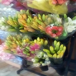 a variety of flowers a variety of flowers