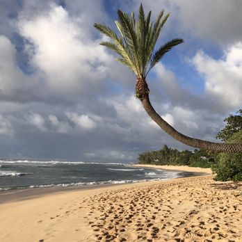 Sunset Beach Park - Beaches Near Me - Haleiwa, Hawaii