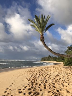 Sunset Beach Park by null
