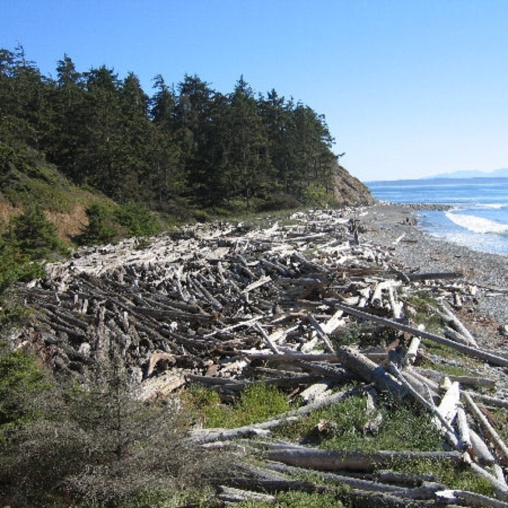 Lots O' Wood Lots O' Wood
