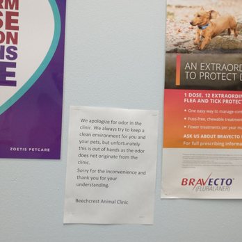 Beechcrest Animal Clinic - I didn't notice any smell - Veterinarians Near Me - Houston, Texas Beechcrest Animal Clinic - I didn't notice any smell - Veterinarians Near Me - Houston, Texas