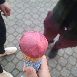 Sorbet