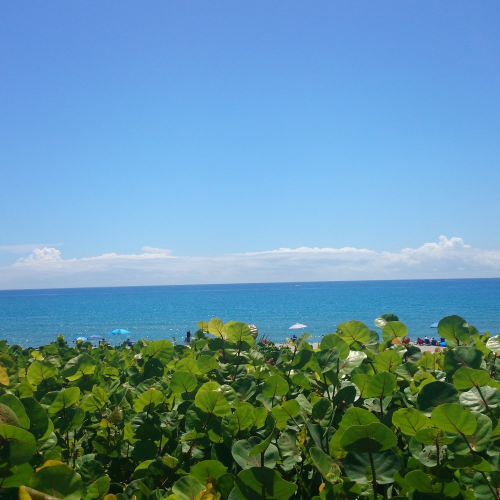 Oceanfront Park - Beaches Near Me - Ocean Ridge, Florida Oceanfront Park - Beaches Near Me - Ocean Ridge, Florida