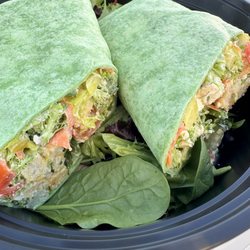 Gourmet Greens Salad Bar