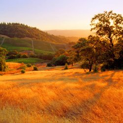 Web Sonoma - Beautiful Sonoma County