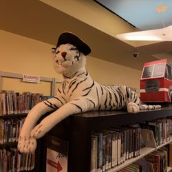 Georgetown Public Library