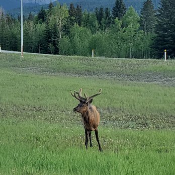 Banff National Park - Parks Near Me - Banff, Alberta Banff National Park - Parks Near Me - Banff, Alberta