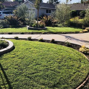 Arreola Landscape and Pool Design - Landscaping Near Me