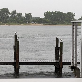 The Wharfside Patio Bar - Seagull waiting in anticipation - Bars Near Me - Point Pleasant Beach, New Jersey The Wharfside Patio Bar - Seagull waiting in anticipation - Bars Near Me - Point Pleasant Beach, New Jersey