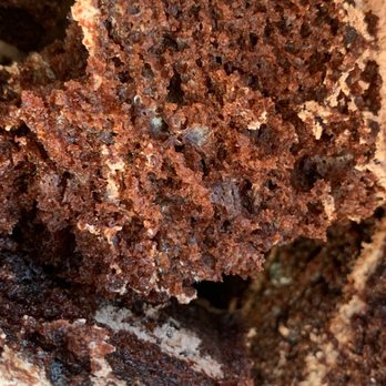 Vicky Bakery - Mold inside the cake - Bakeries Near Me - Hialeah, Florida