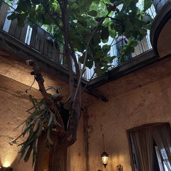 Taverna - Inside - México, D.F., DIF Taverna - Inside - México, D.F., DIF