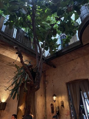 Taverna by null