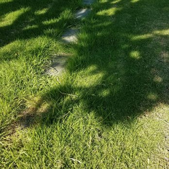 Ivy Lawn Memorial Park - Headstones.. Lack of maintenance. Very sad. Very unprofessional. - Cremation Services Near Me - Ventura, California Ivy Lawn Memorial Park - Headstones.. Lack of maintenance. Very sad. Very unprofessional. - Cremation Services Near Me - Ventura, California