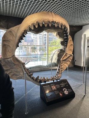 National Aquarium by null