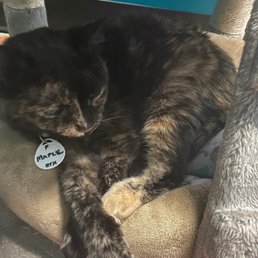 Ms Maple!