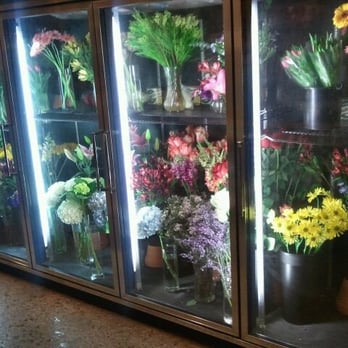 Daffodils - Florists Near Me - Chicago, Illinois Daffodils - Florists Near Me - Chicago, Illinois