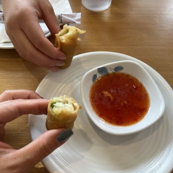 Dumplings N More - Spring Rolls - Chinese Near Me - Escondido, California
