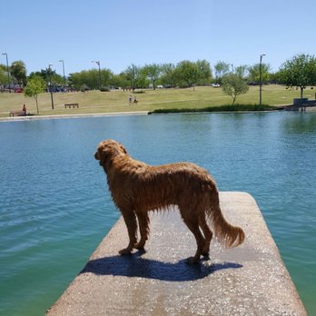 Crossroads Park - Dog Parks Near Me - Gilbert, Arizona