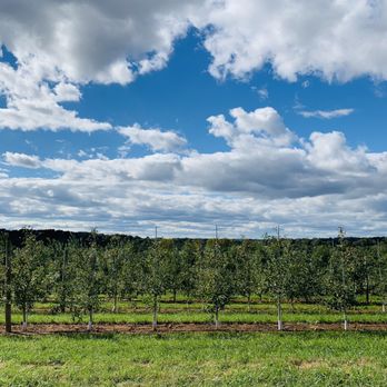 Homestead Farm - Fruits & Veggies Near Me - Poolesville, Maryland
