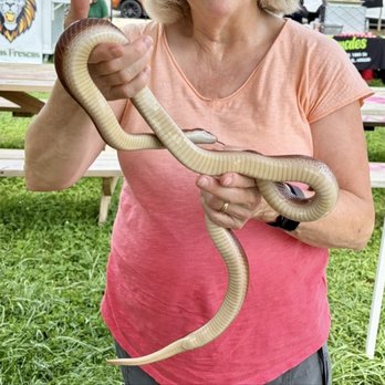 El Paseo Community Garden - Snakes are so weird :-) One Sunday at Pilsen's El Paseo Community Garden in Chicago - Community Gardens Near Me - Chicago, Illinois