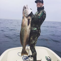 MERIC Spearfishing - North County San Diego White Sea Bass!