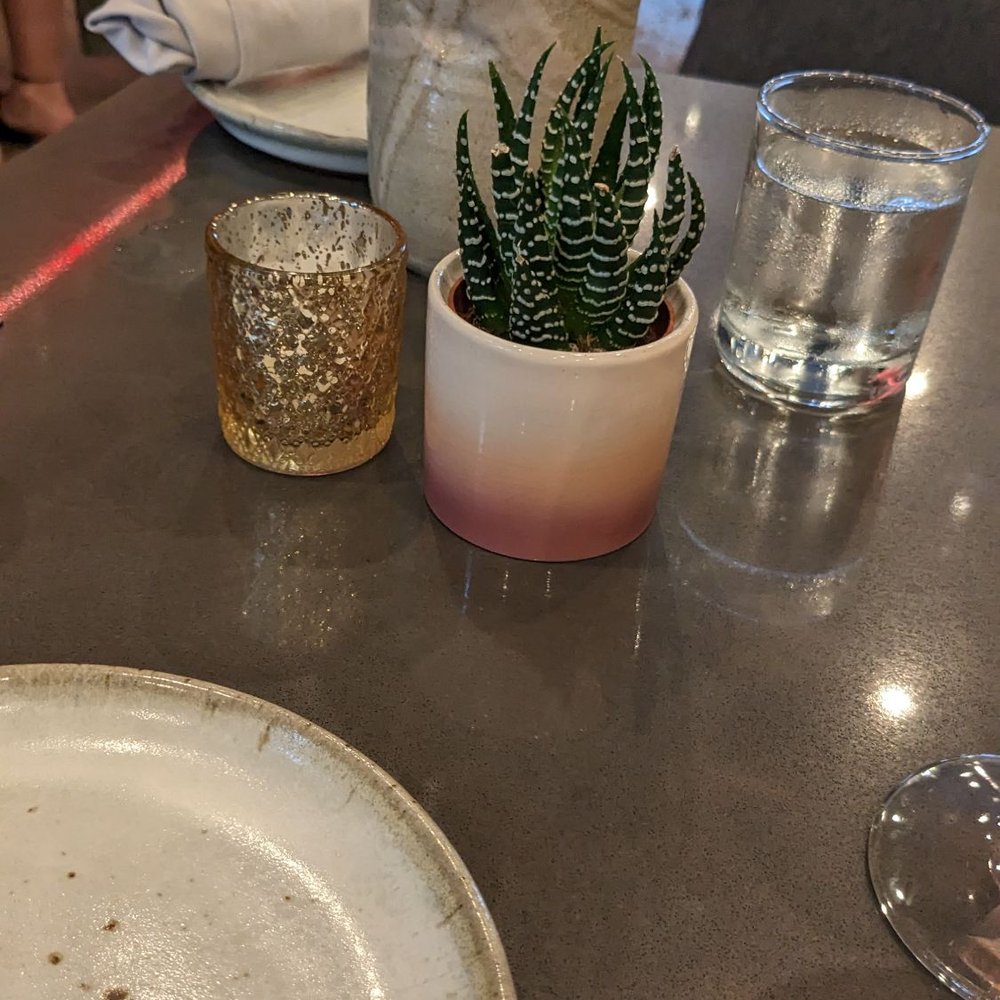 Roots - Beautiful succulent at our table - Wine Bars Near Me - Houston, Texas Roots - Beautiful succulent at our table - Wine Bars Near Me - Houston, Texas